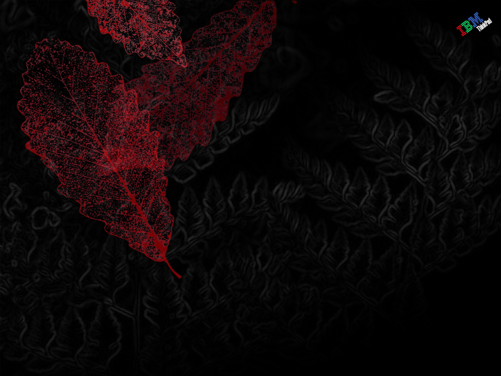 1024 TP Leaves.bmp