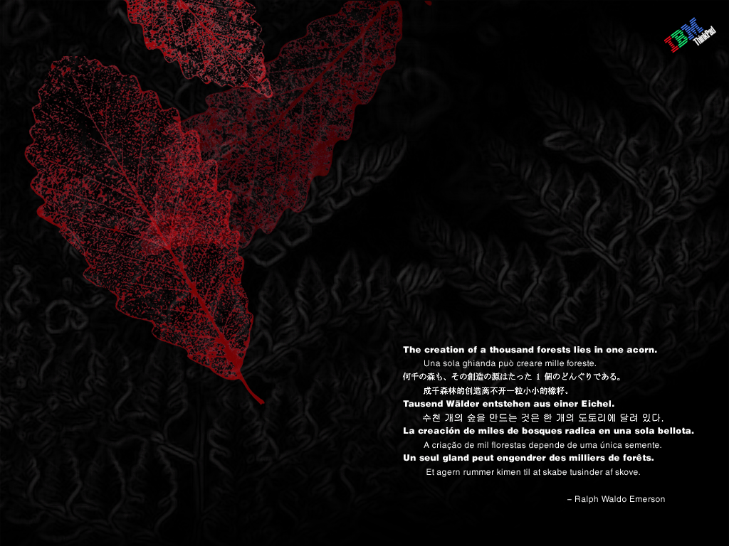 1024 x 768 IBM Leaves Quote.bmp