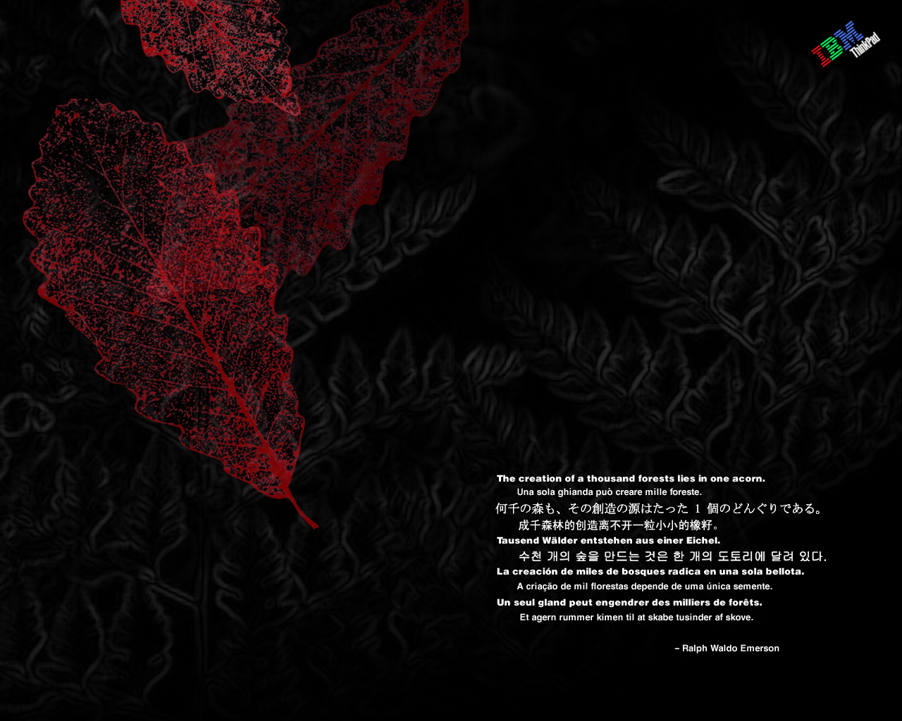 1280 x 1024 IBM Leaves Quote.bmp