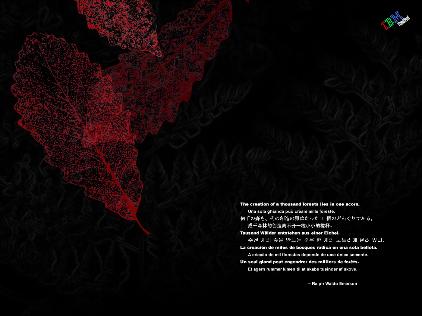1400 x 1050 IBM Leaves Quote.bmp