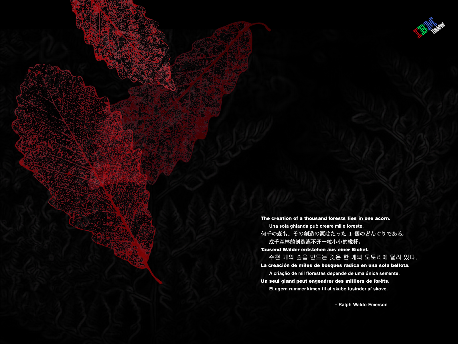 1600 x 1200 IBM Leaves Quote.bmp