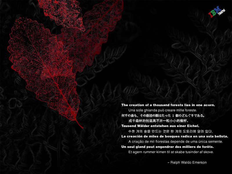 800 x 600 IBM Leaves Quote.bmp