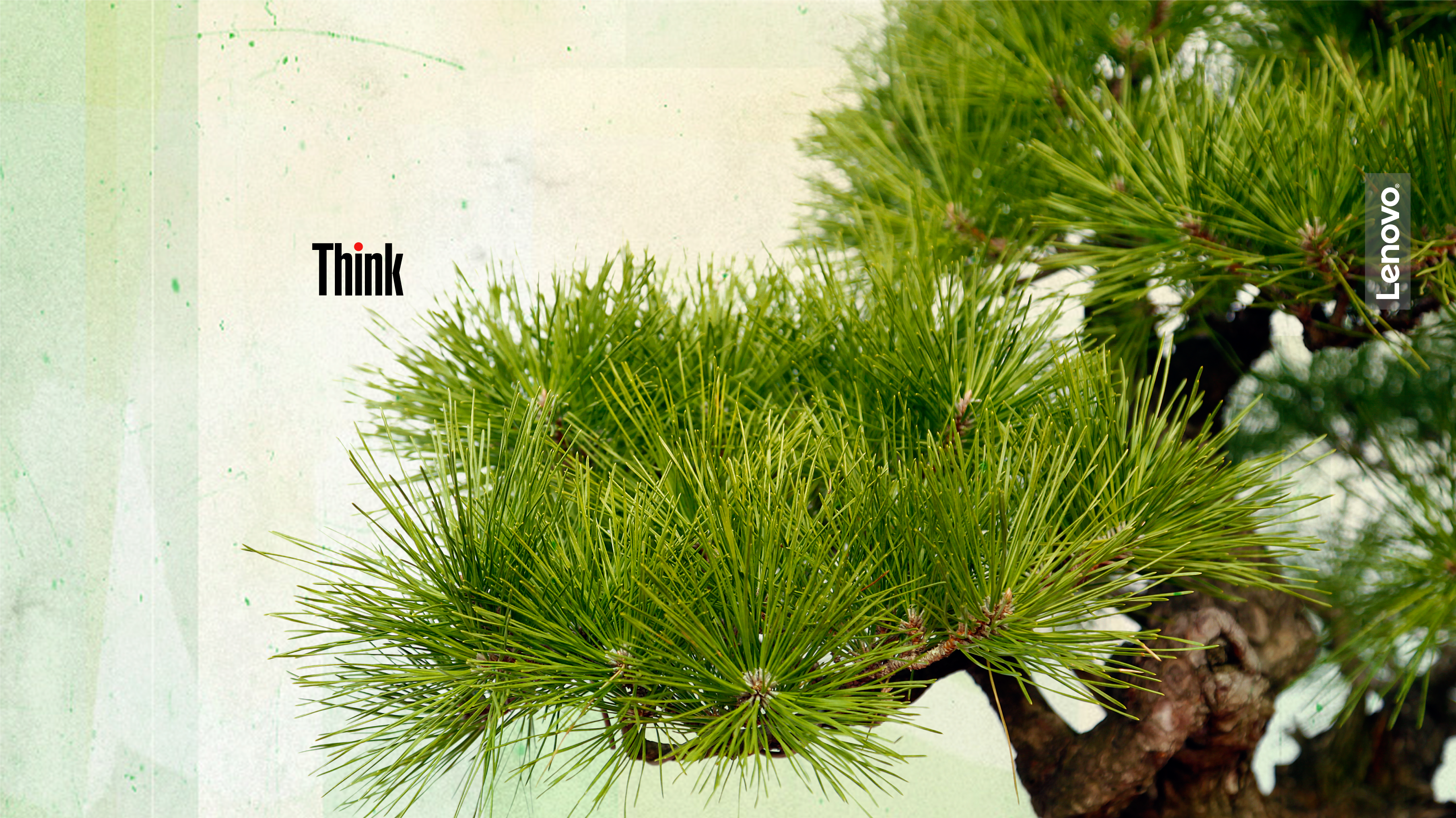 Tree.png