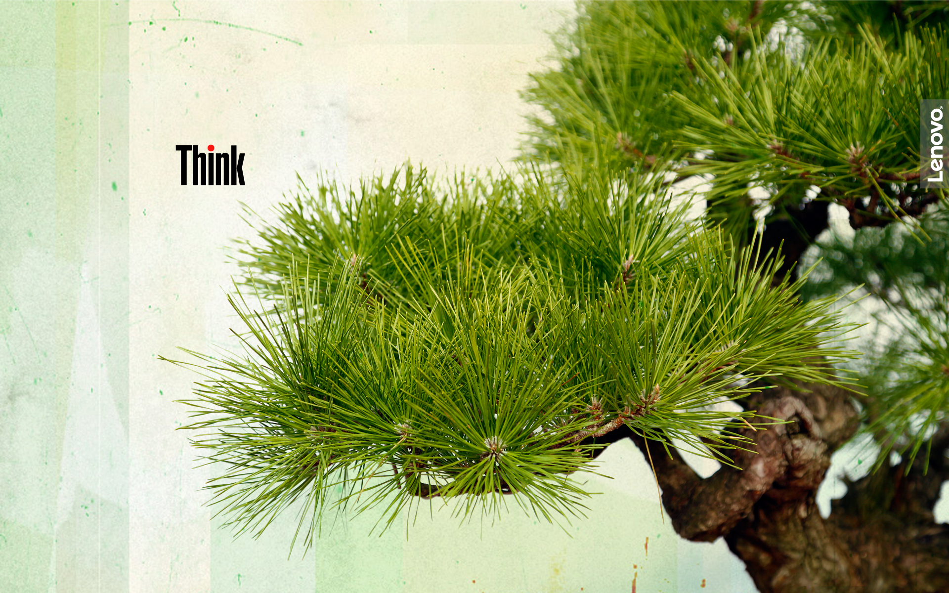 Tree_1.png